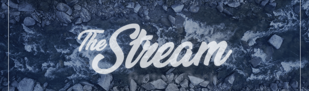 The Stream With Will and Tom logo.